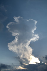 Fototapeta na wymiar cloud in the sky,white,weather,blue,air,atmosphere,steam