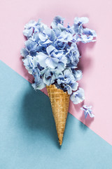 Flower hortensia petals in an ice cream cones on a blue / purple background. Summer refreshment concept. Top view.