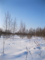 Зима