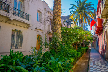 Outdoor view of of gorgeous garden with plants and palms between buildings in the Barrio Yungay in Santiago, capital of Chile