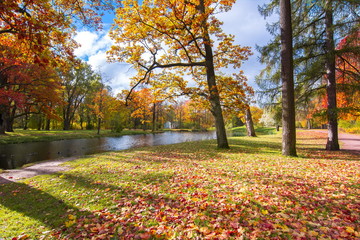Golden autumn (fall) in Alexander park, Tsarskoe Selo (Pushkin) Saint Petersburg, Russia