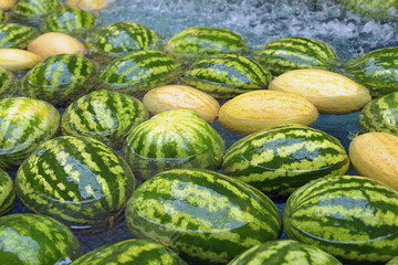 watermelons and melons lie in the water fountain
