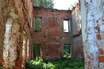 Fototapeta na wymiar Picturesque ruins of an old mansion. Abandoned place. Nature captures the construction of civilization. Wild plants grow inside the building. Beautiful photo background of desolation