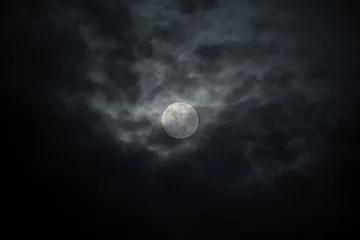 Stoff pro Meter Cloudy full moon night © Zacarias da Mata