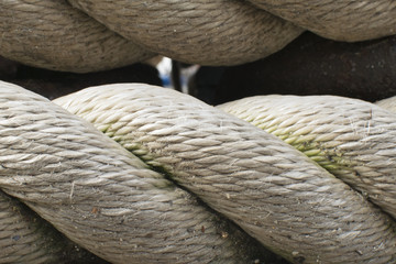 mooring rope close-up