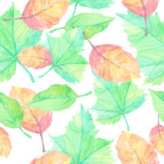 Seamless pattern of a cartoon watercolor fallen down autumn leaves of a tree on a white background