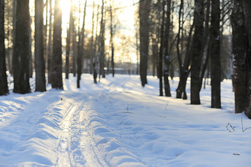 Winter landscape snow covered expanses. A park in the winter in 