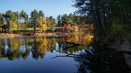 Fototapeta na wymiar Beautiful scene of the colorful foliage of the trees in autumn fall season reflection in the black water river
