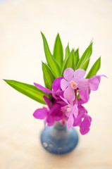 Violet Orchid flower on the vase, select focus with shallow depth of field
