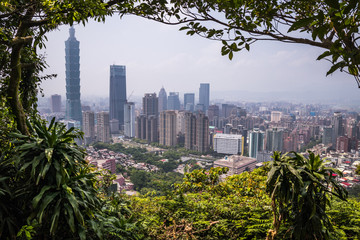 Fototapeta premium Where city and nature meet - View from Elephant Mountain on cityscape of Taipei, Taiwan