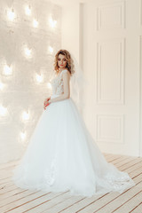 Fototapeta na wymiar beautiful bride in a chic wedding dress