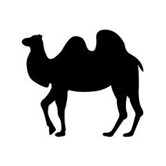 Camel icon, silhouette, logo on white background