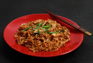 Chinese Noodle Udon, chicken fillet, vegetables, oyster and soy sauces, peanuts on a red plate