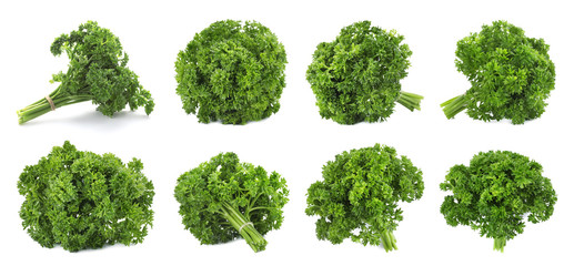 Set of fresh green parsley on white background