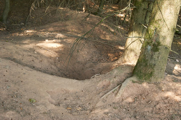 Sandauswurf vor Dachsbau