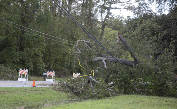 Power Lines Down In Wagram North Carolina After Hurricane Florence