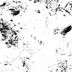 20180815_150403_C-15