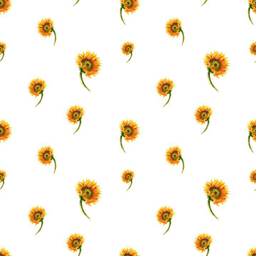 Seamless pattern watercolor hand-drawn sketch of the inflorescence of a sunflower on a white background. Botanical natural design in warm colors of orange, red and yellow. Stylized illustration.