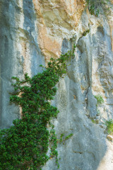 Obraz premium Natural background of solid rough stone wall