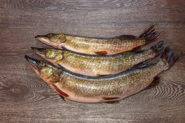 three big pike fish on wooden background