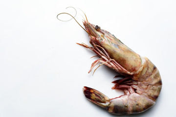 Jumbo Tiger Prawns in White Background