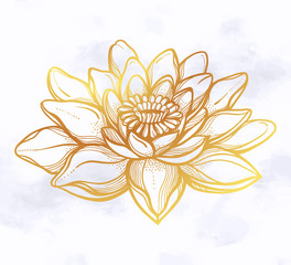 Vector Lotus flower, ethnic art.