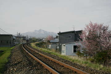 Fototapeta premium 春の斜里岳