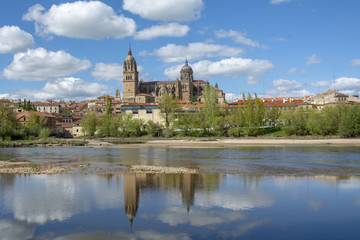 Fototapeta na wymiar vista de las catedrales de Salamanca, desde el rio Tormes. 