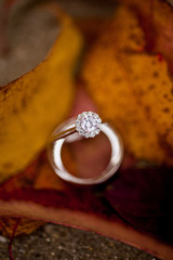 fall wedding rings detail