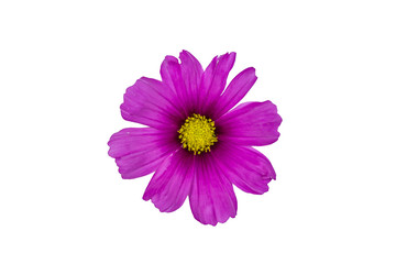 Kapk&ouml;rbchen Paternosterstraus