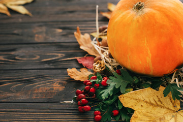 Happy Thanksgiving concept. Beautiful composition of Pumpkin, autumn vegetables with colorful leaves,acorns,nuts, berries on wooden rustic table.Space for text. Cozy Fall season