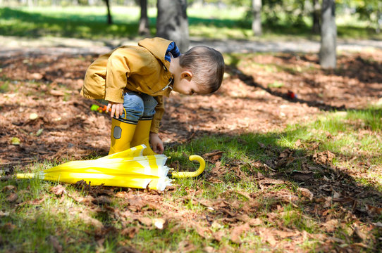 Cute toddler boy in yellow rubber boots, yellow raincoat holding a yellow lemon umbrella in an autumn park