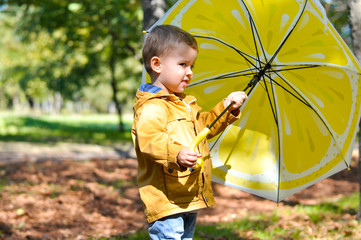 Cute toddler boy in yellow rubber boots, yellow raincoat holding a yellow lemon umbrella in an...