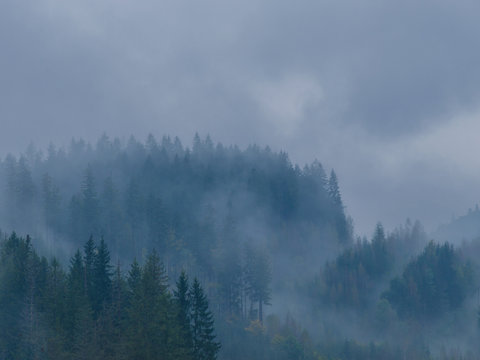 The Carpathian mountains landscape during mist in the autumn season © thaarey1986