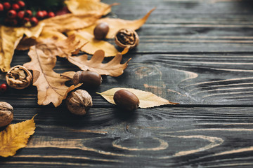 Hello Autumn. Bright colorful autumn leaves with acorns and nuts on rustic wooden background. Fall image. Harvest time. Happy Thanksgiving. Greeting card mock-up.