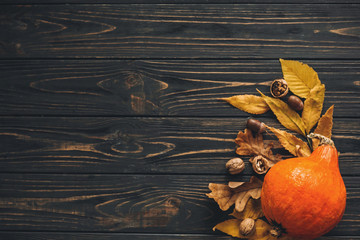 Happy Thanksgiving concept, flat lay. Beautiful Pumpkin with bright autumn leaves, acorns, nuts on wooden rustic table. Space for text. Fall season greeting card. Atmospheric image