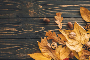 Bright colorful autumn leaves with acorns and nuts on rustic wooden background, flat lay. Fall image. Space for text. Hello Autumn. Happy Thanksgiving. Seasons greetings