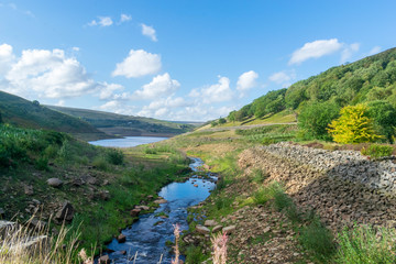 Stream to the Reservoir