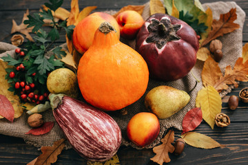 Beautiful Pumpkin, vegetables on bright autumn leaves, acorns, nuts on wooden rustic table. Space for text. Fall season greeting card. Atmospheric image. Happy Thanksgiving concept.