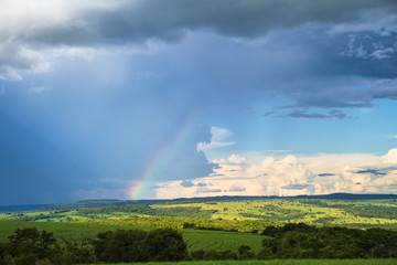 Naklejka na ściany i meble rainbow over the field, árco-íris e chuva no campo