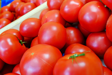 Very fresh and delicious red tomatoes. Harvest and sell in France.