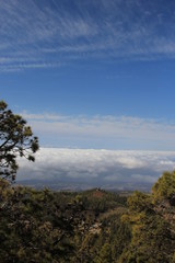 Mountain view of the fields