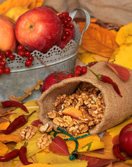 autumn harvest - fruits and vegetables are on fallen yellow leaves, nuts, apples, pumpkins, rowan and pepper. Perfect background for autumn season.