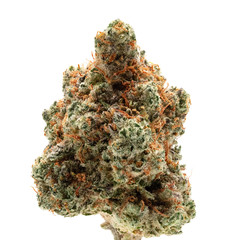 Grease Monkey