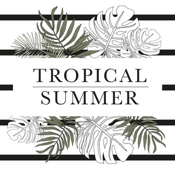 Tropical graphic palm leaves frame on the striped background. Print for tee shirt design template. Greenery foliage vector illustration. Summer beach floral design. Paradise nature
