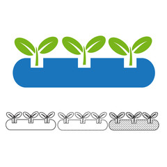 Plant icon vector