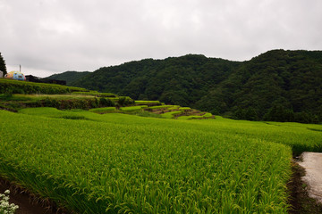 蜜乗院の棚田