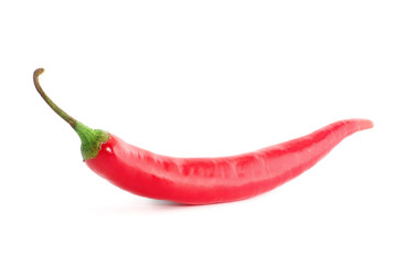 chili pepper isolated on a white background