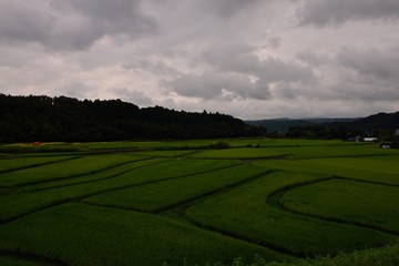 蜜乗院の棚田