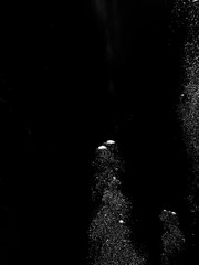 Obraz premium Solid Black Background with White Bubbles Rising